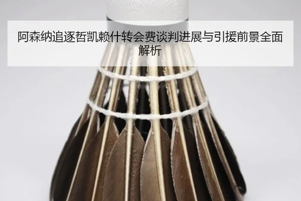 阿森纳追逐哲凯赖什转会费谈判进展与引援前景全面解析
