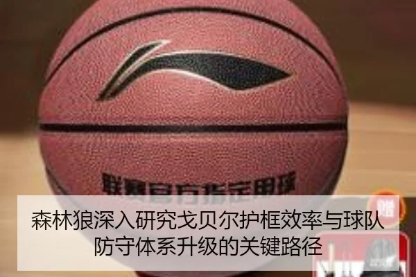森林狼深入研究戈贝尔护框效率与球队防守体系升级的关键路径